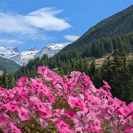 Apart-hotel Maison Poluc - Chiaro Di Luna 3*