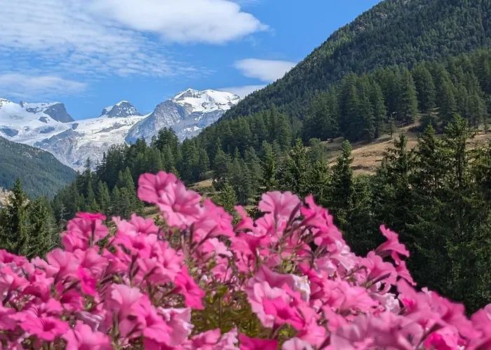 Aparthotel Maison Poluc - Chiaro Di Luna 3*